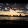 amynyc504